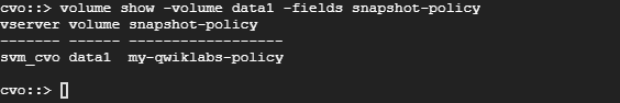 The command output