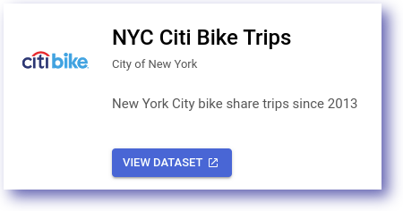 NYC Citi Bike Trips pop-up displaying the View Dataset button