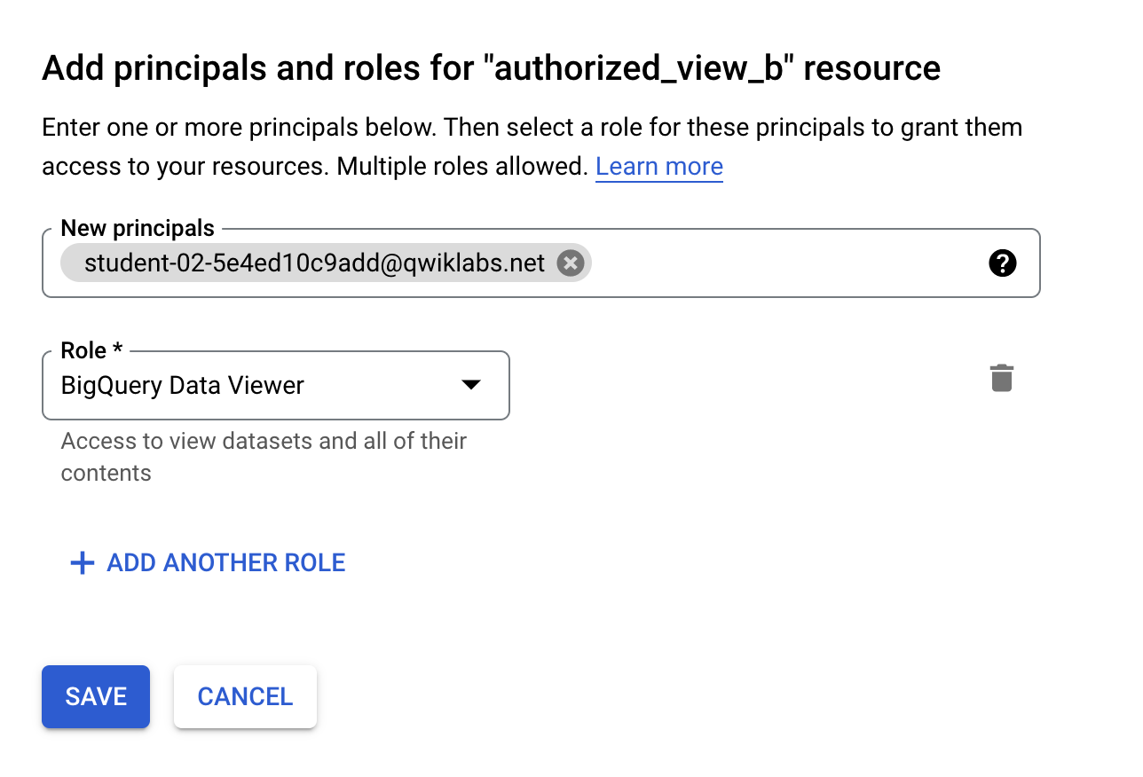 add bigquery data viewer principal