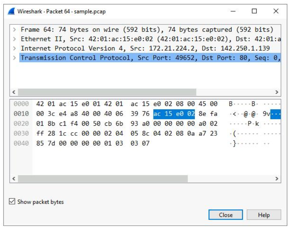 Wireshark Packet Details Pane 