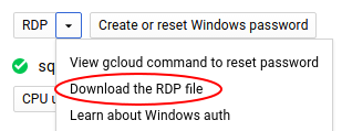 rdp_file.png