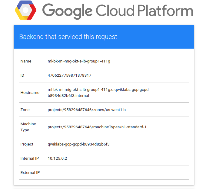 Webpage showing Google Cloud logo and instance details