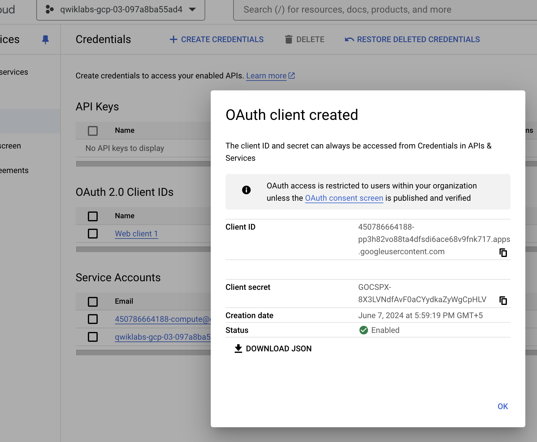 OAuth consent screen app information