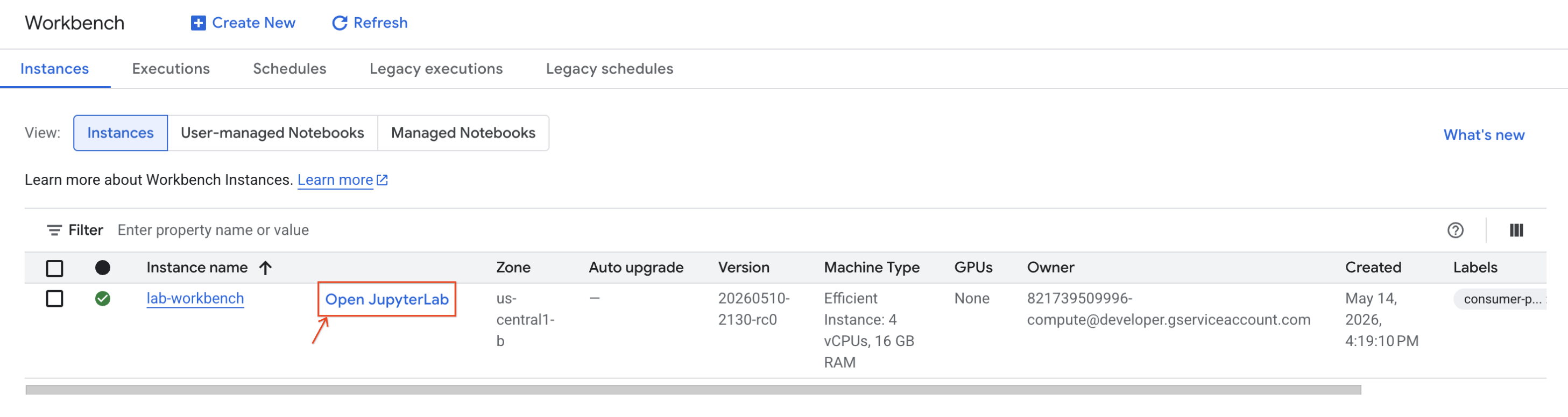 Workbench Instance Deployed