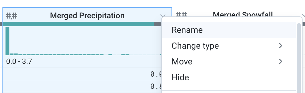 Dropdown menu with Rename option highlighted