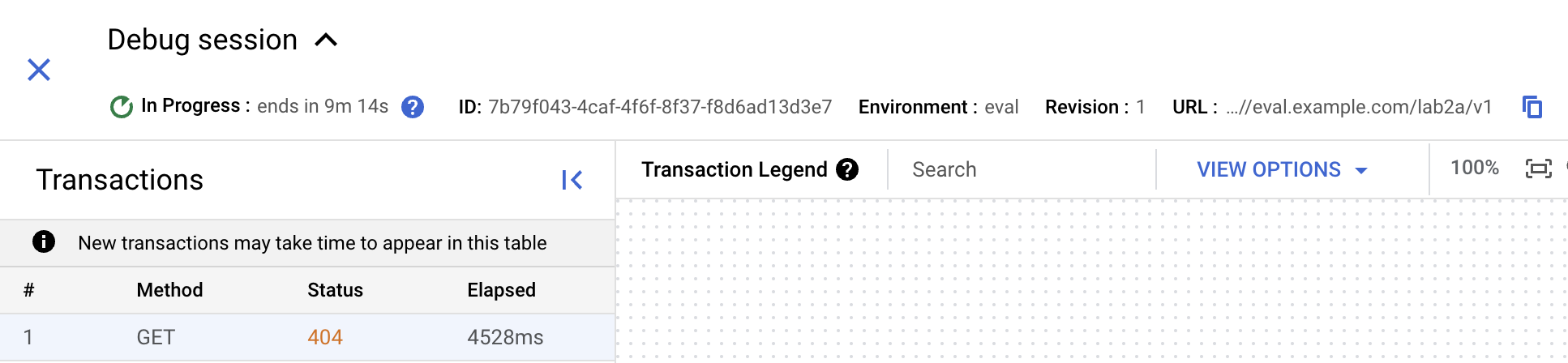 Debug session details