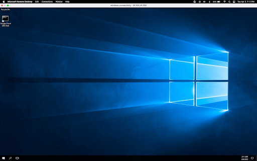 Windows 10 RDP instance page