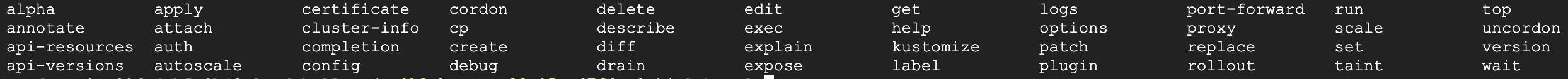 使用可能な出力コマンドがすべて表示されている Cloud Shell