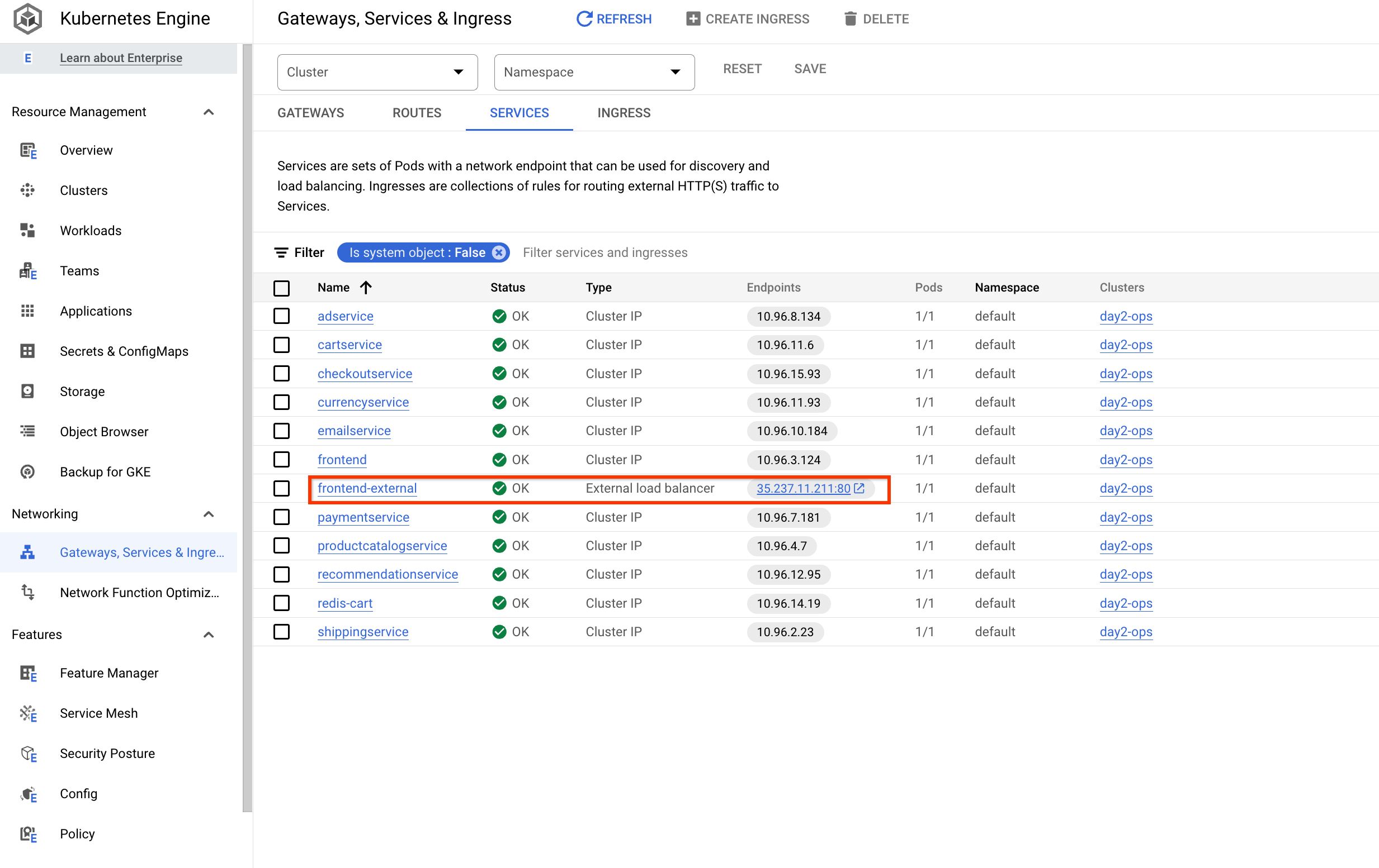 highlight of the frontend-external service's external IP address