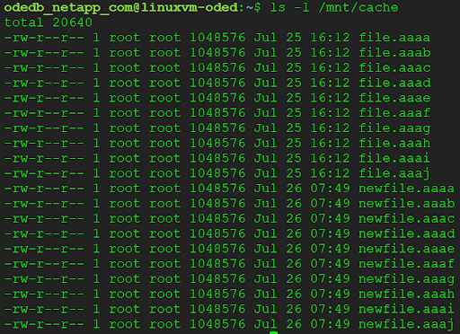 Verify the new files are shown on target volume