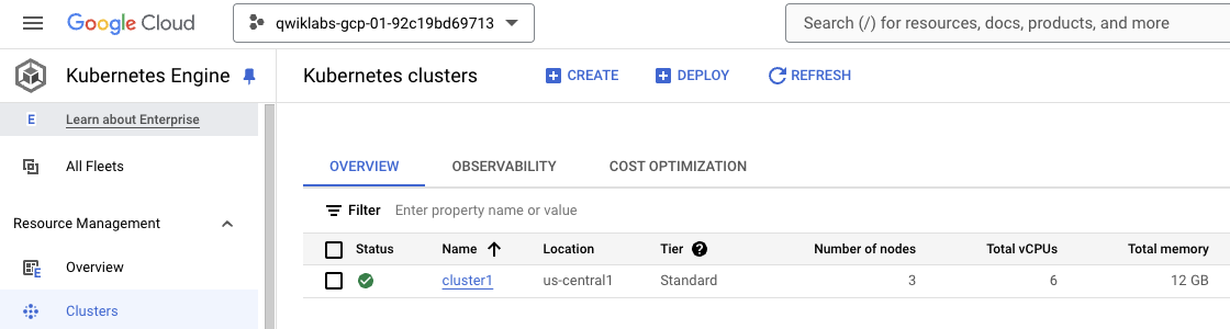 Check that the GKE cluster is running.