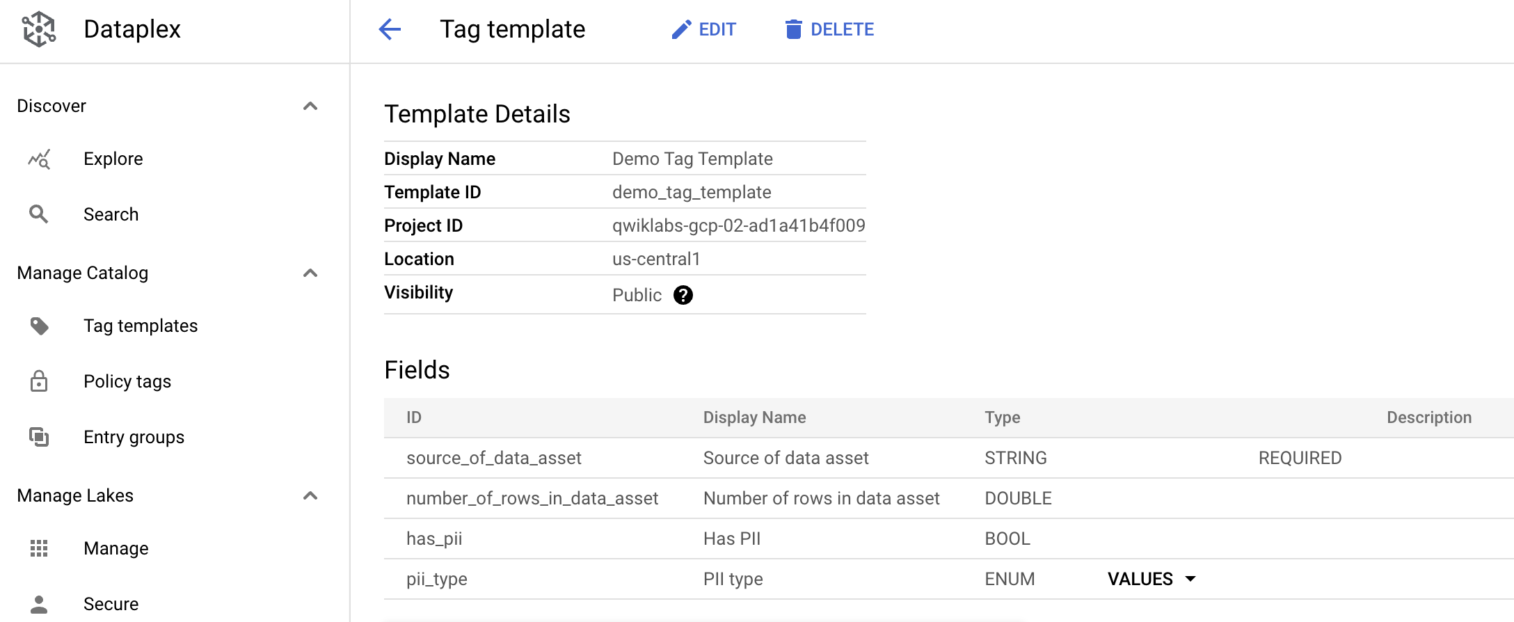 完成した Data Catalog。テンプレートの詳細、フィールド、表示名、タイプが表示されている。