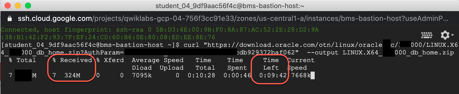 Terminal window showing download status