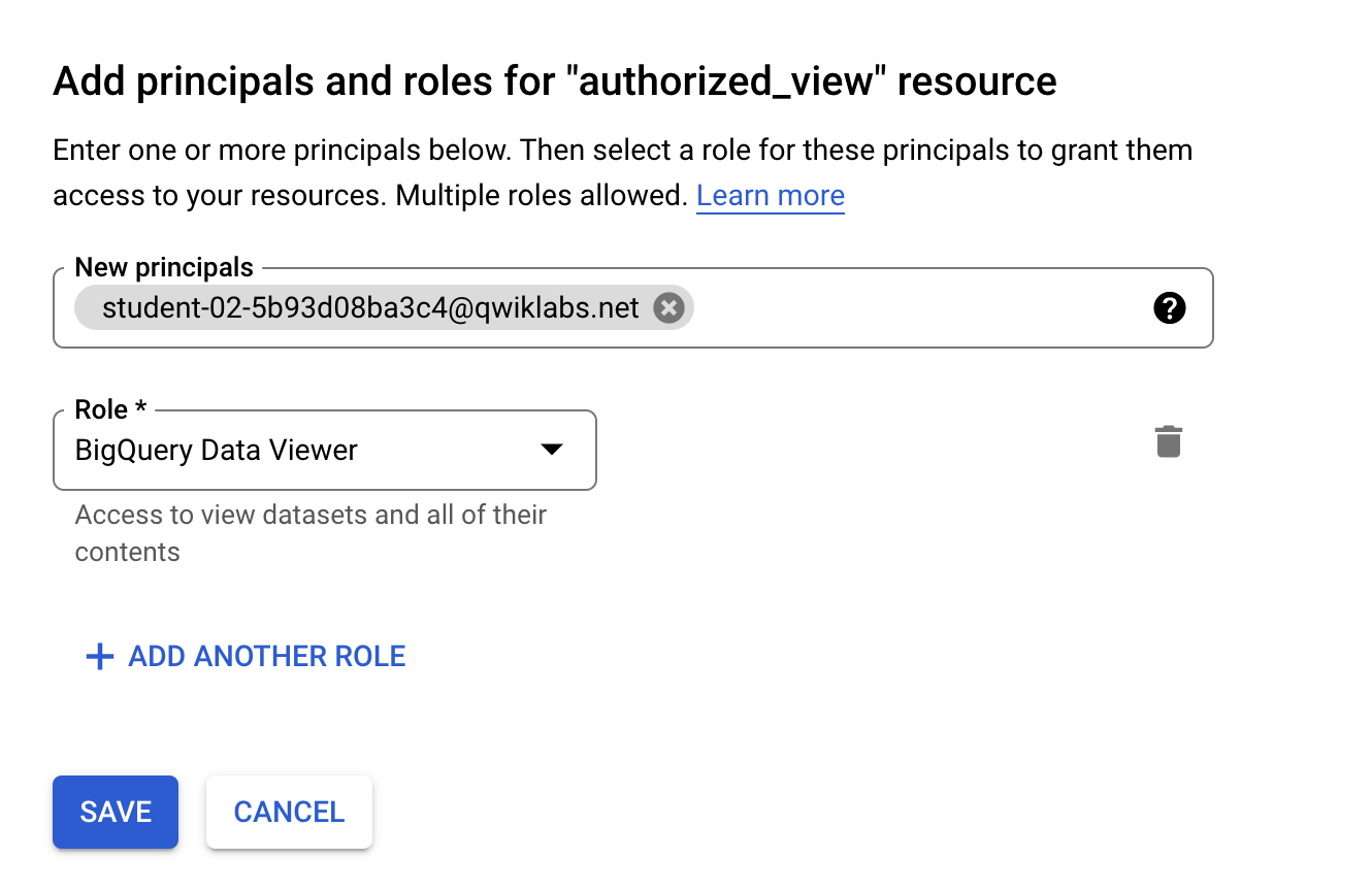 add bigquery data viewer principal