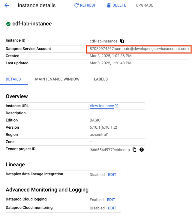 Service Account highlighted on the Instance details page