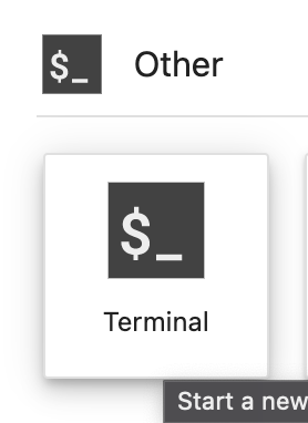 Abre la terminal