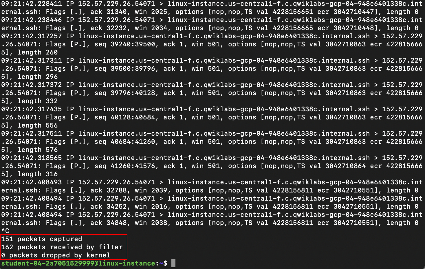 Introducing tcpdump Google Cloud Skills Boost