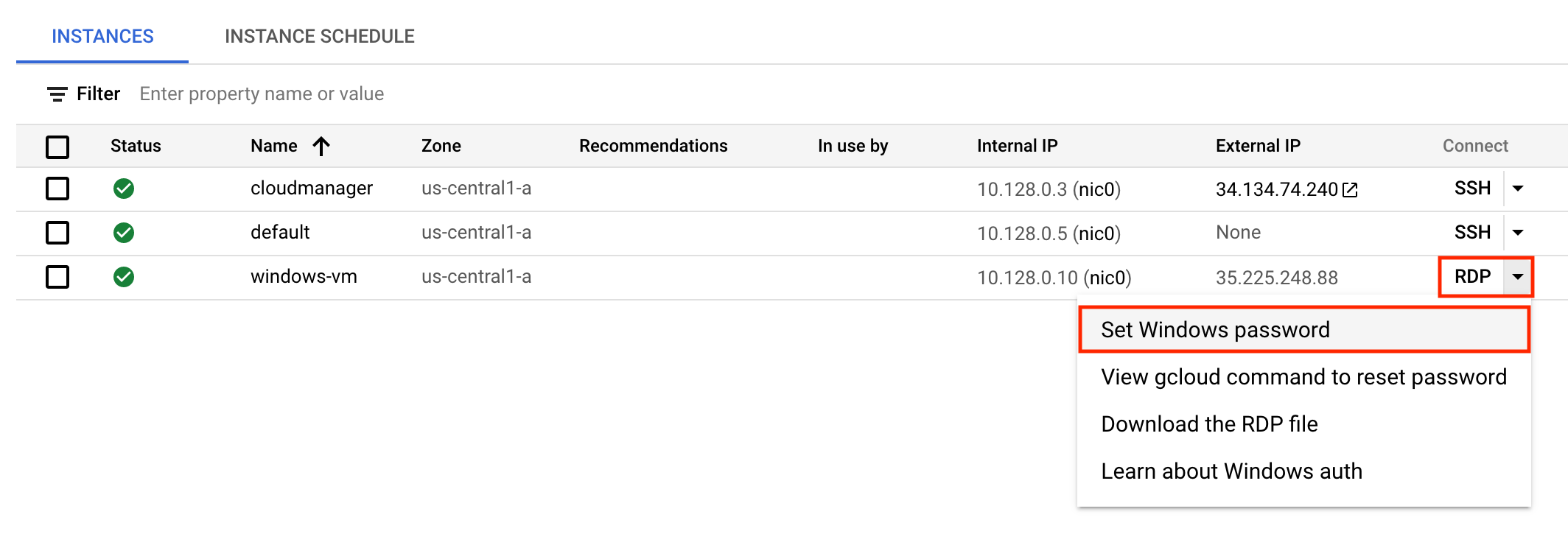 The expanded RDP dropdown menu highlighting the Set Windows password option