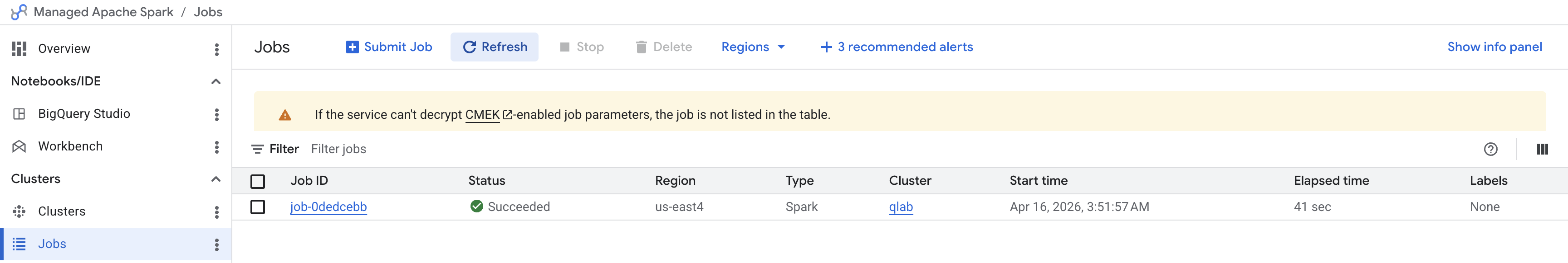 The Jobs page displaying the status of job-11c593c3 as Succeeded