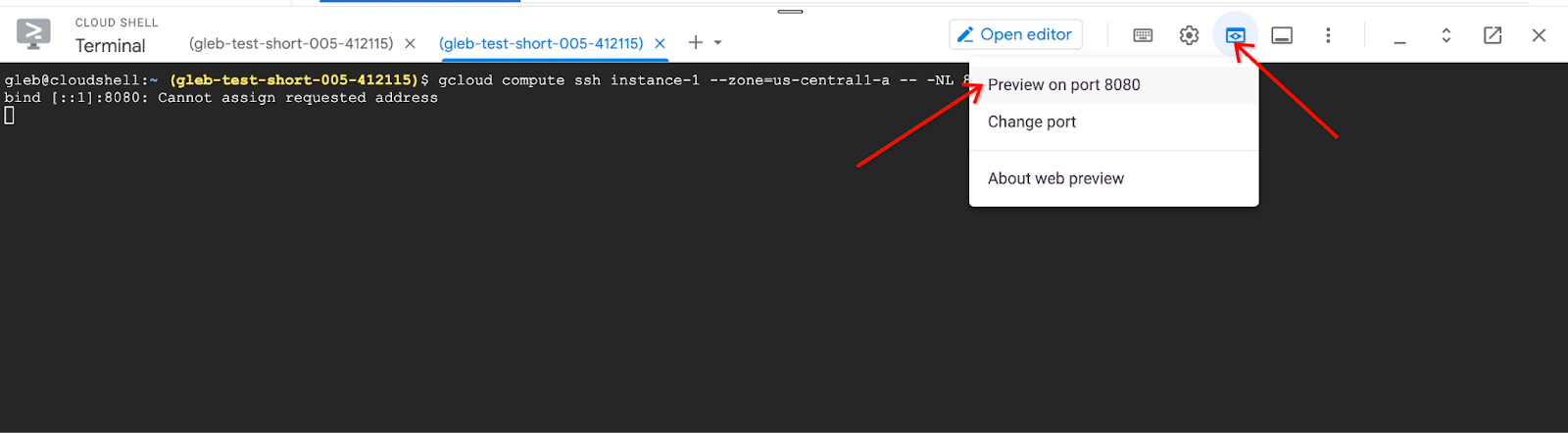 Cloud Shell preview port