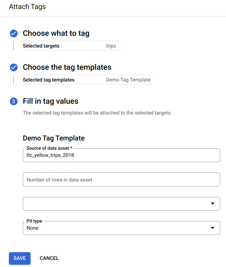 A página &quot;Anexar tags&quot;, em que a fonte dos recursos de dados e o tipo de PII foram selecionados e preenchidos no Modelo de tag de demonstração.