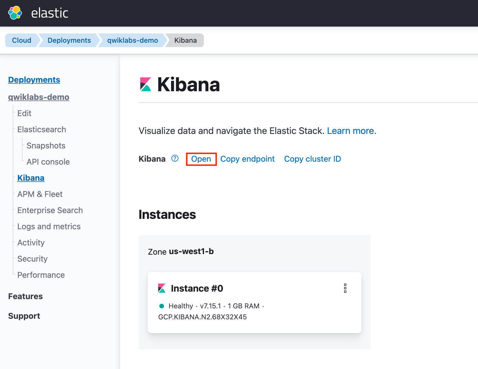 The Kibana tabbed page