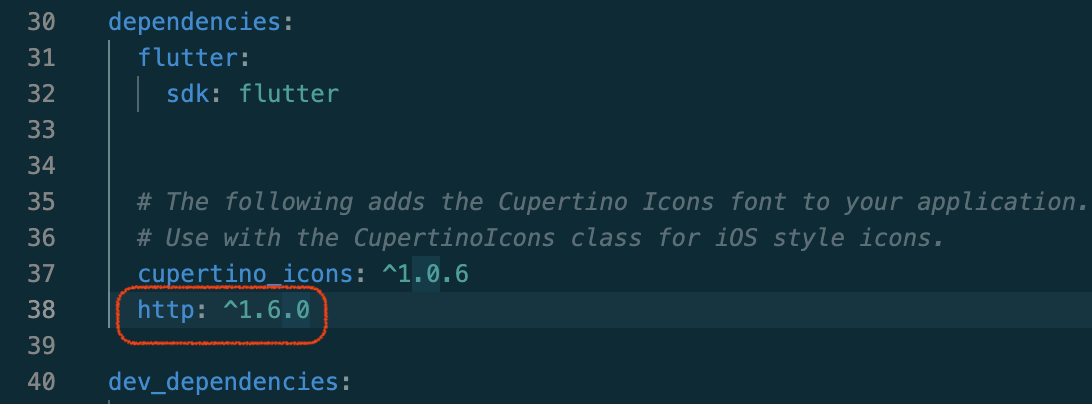 Flutter App pubspec update http
