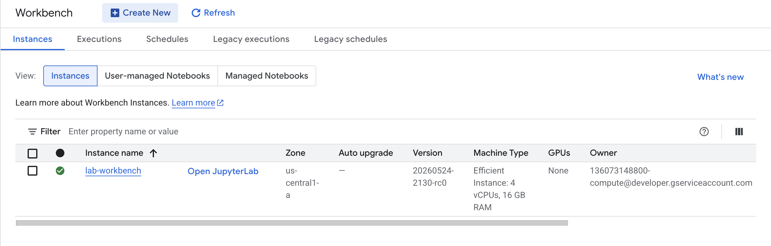 Workbench Instance Deployed