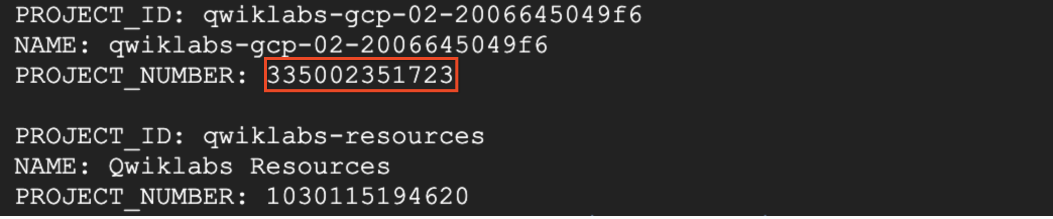 Project number highlighted in output