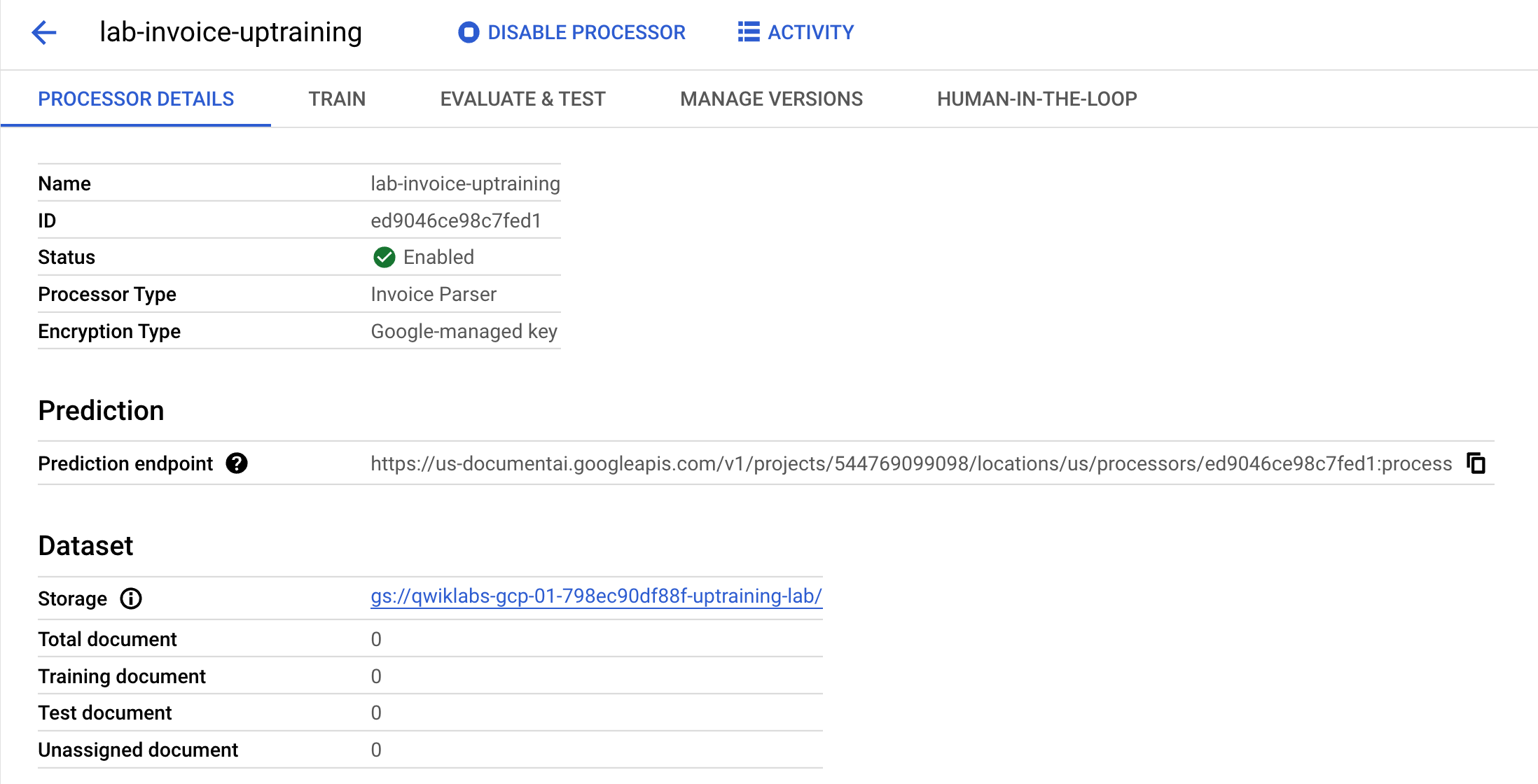 Lab custom extractor with dataset
