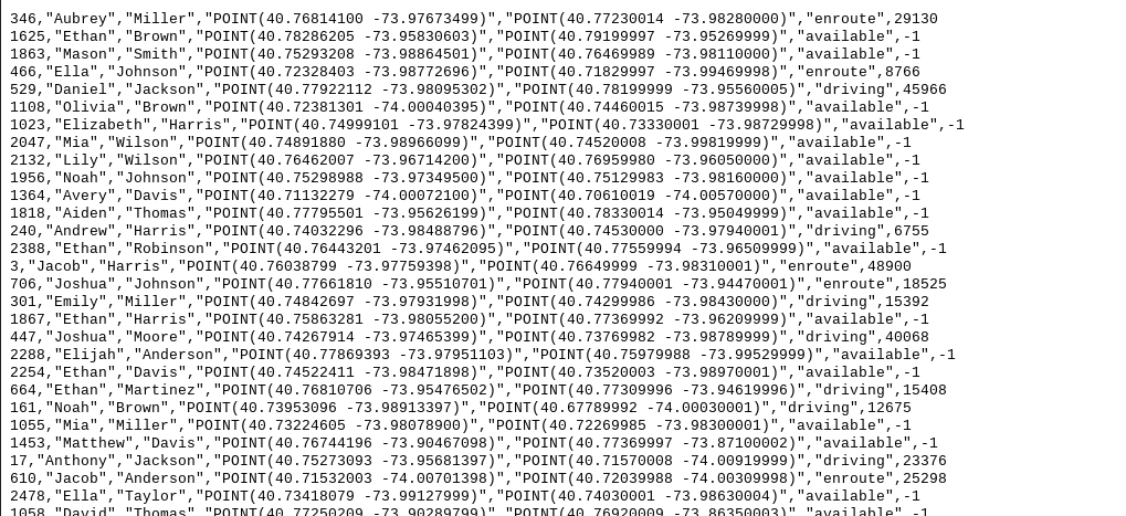 The output file, which lists the taxi data.