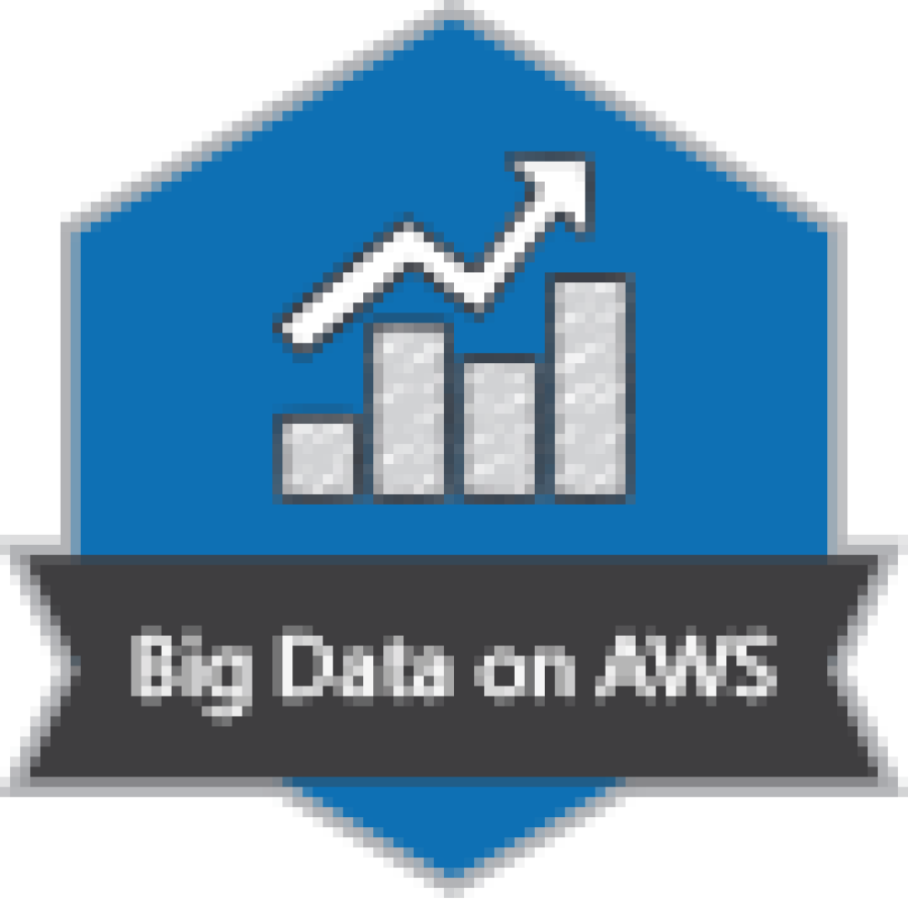 Badge pour Big Data on AWS