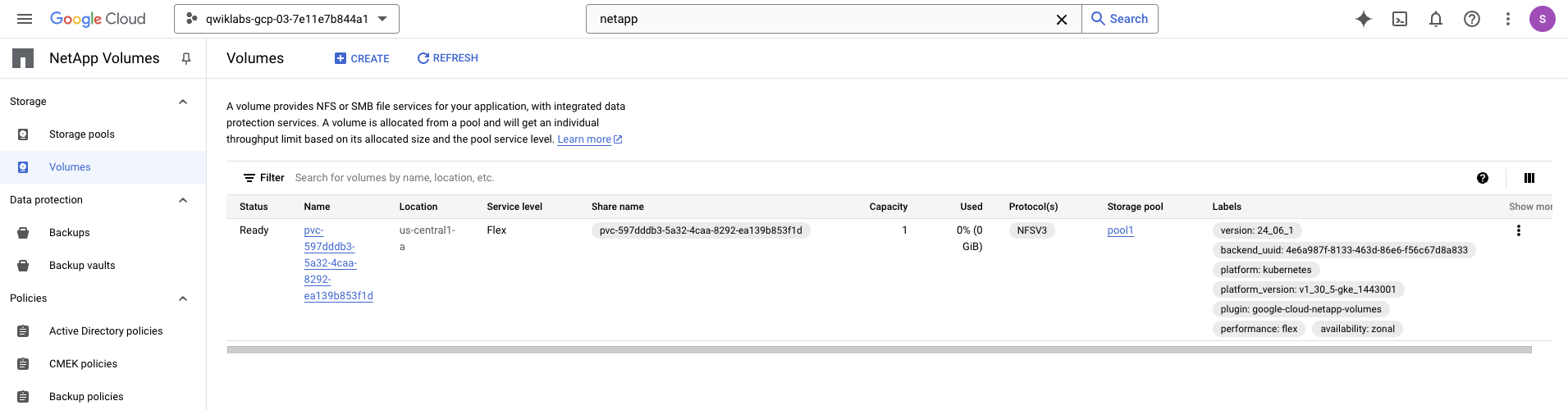 Verify that the volume has been created in the NetApp Volumes console.