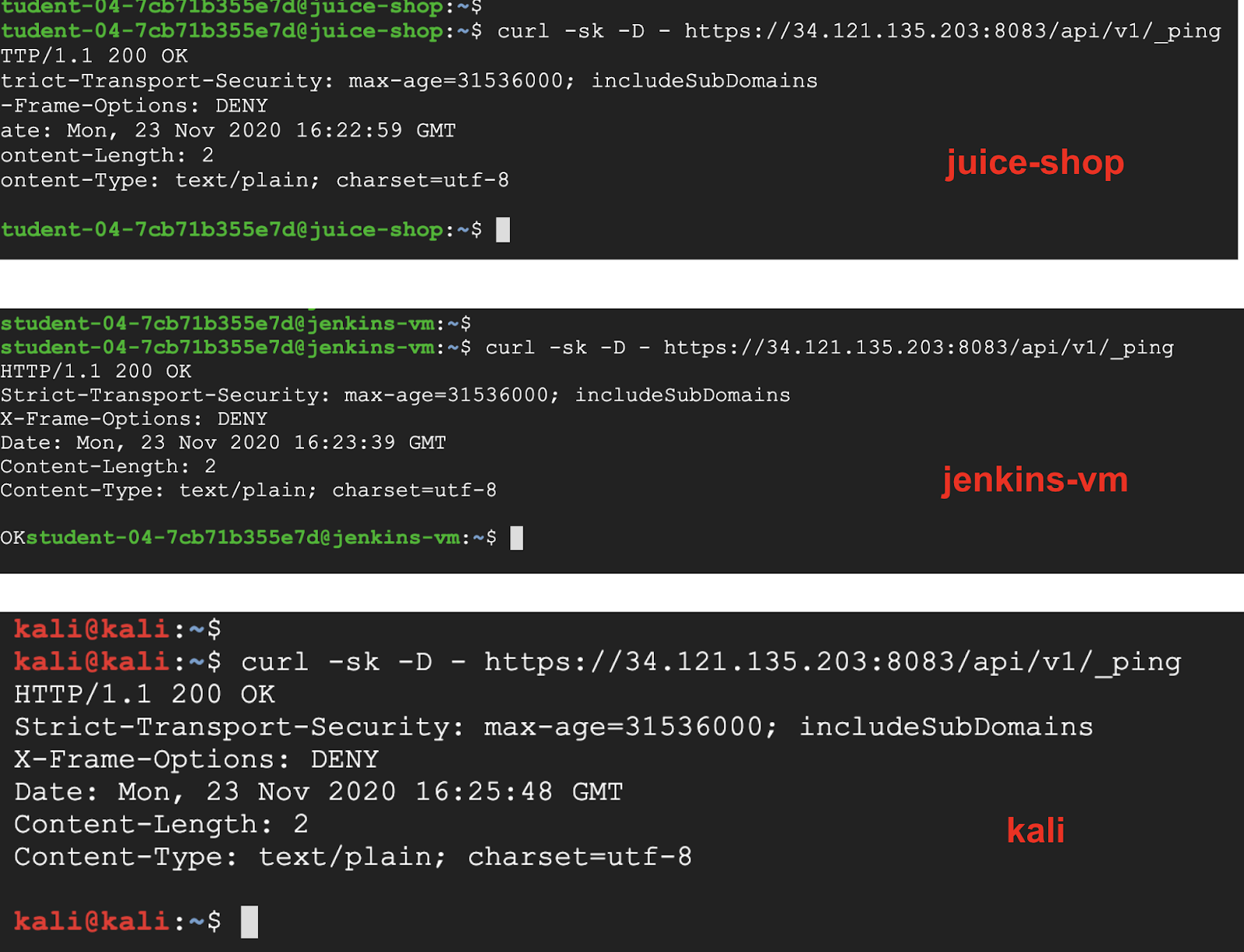 jenkins-vm, juice-shop and kali HTTP response status codes