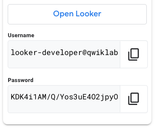 Credentials pane displaying the populated Username and Password fields