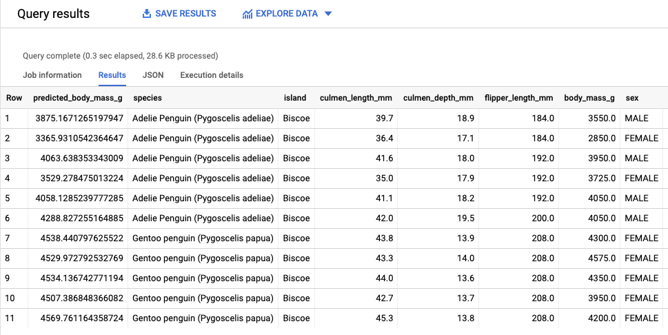 The Query results page displaying 11 rows of data