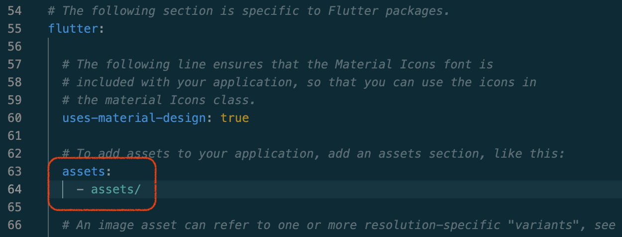 Flutter App pubspec update assets