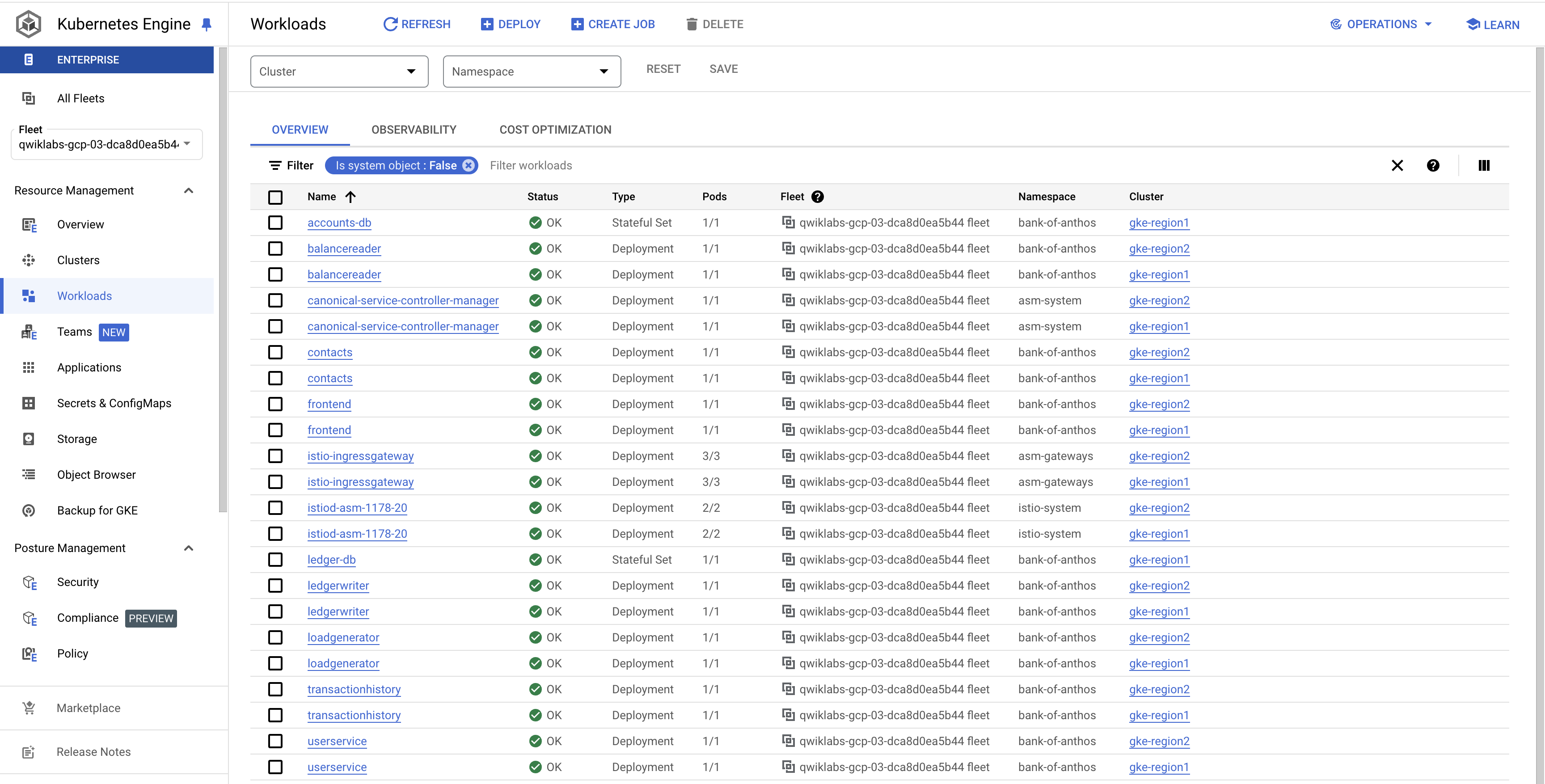 The Workloads Overview tabbed page, wherein several micro services are listed along with their cluster.