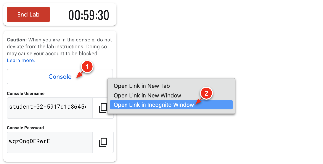 2_lab_open.png