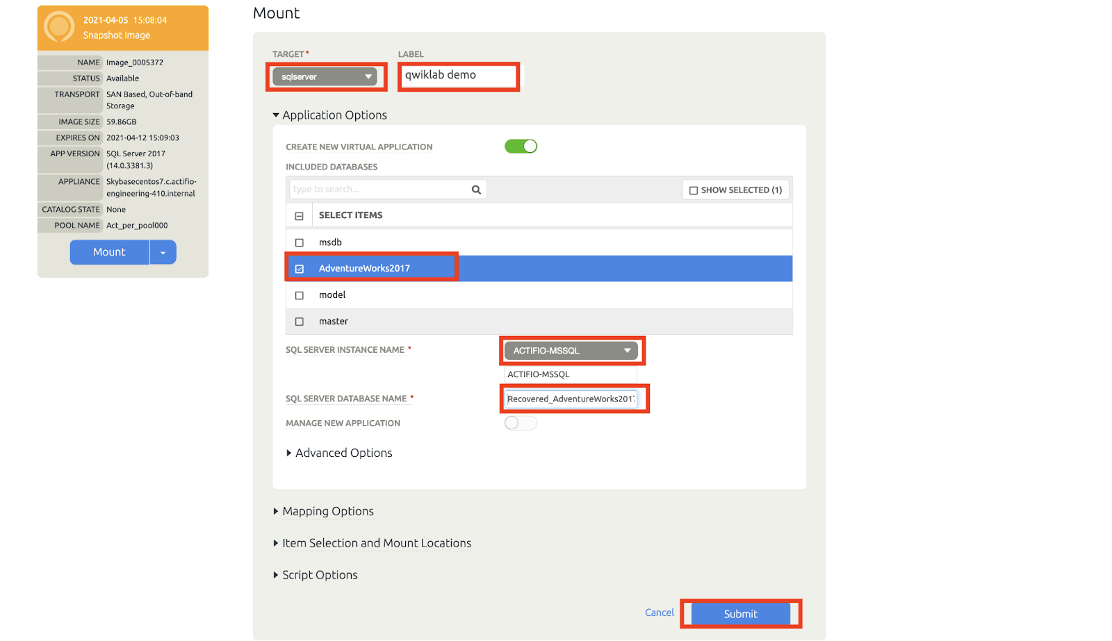 The mount target, label, items, server name, and database name highlighted on the Mount page, along with the Submit button.