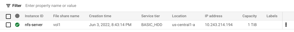 The instances page displaying the nfs-server instance