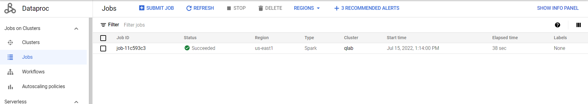 The Jobs page displaying the status of job-11c593c3 as Succeeded