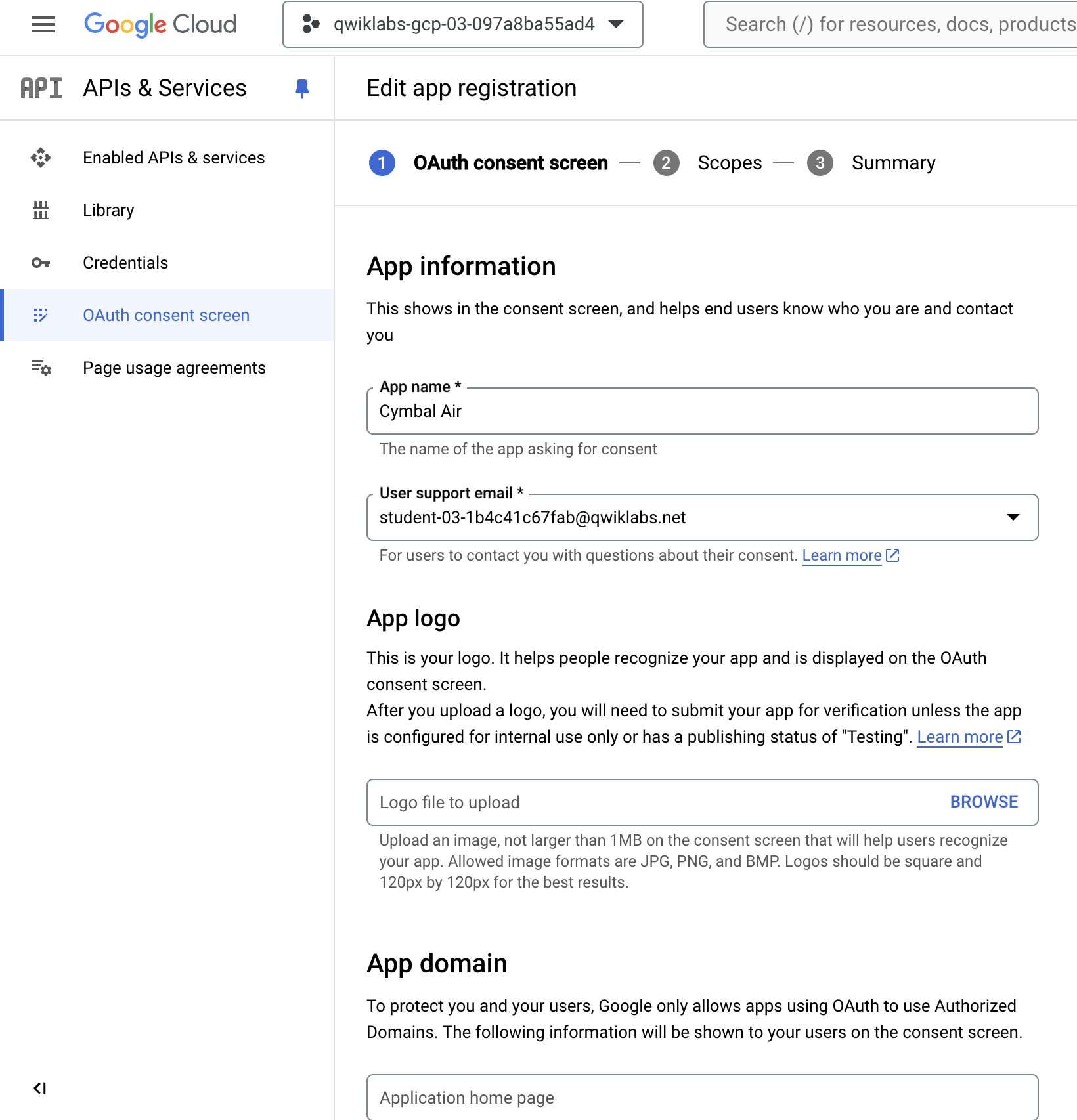 OAuth consent screen app information next page