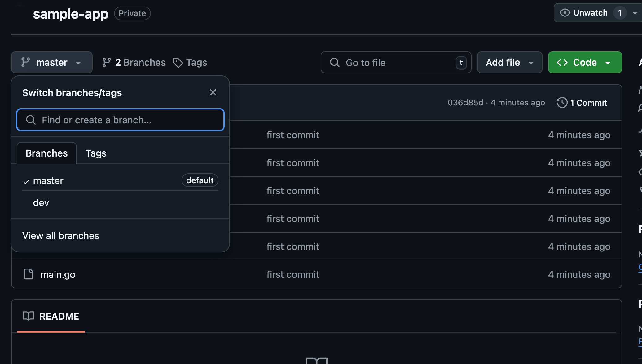 source repository with branches