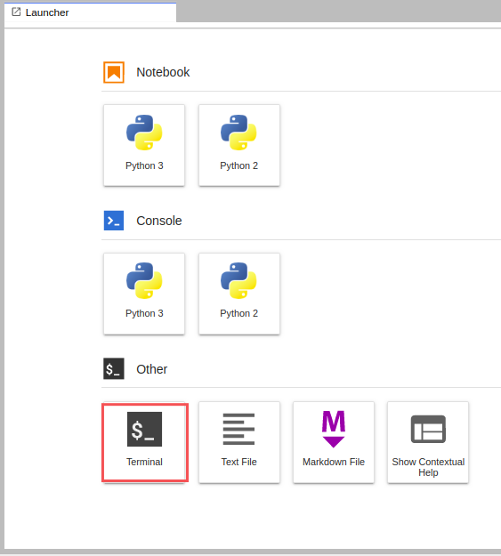 The Launcher window with the Terminal tile highlighted in the Other section