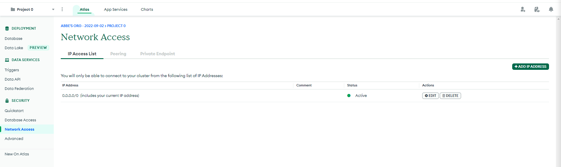 The Network Access page, which displays one IP address along with its Active status and two possible actions; Edit and Delete.