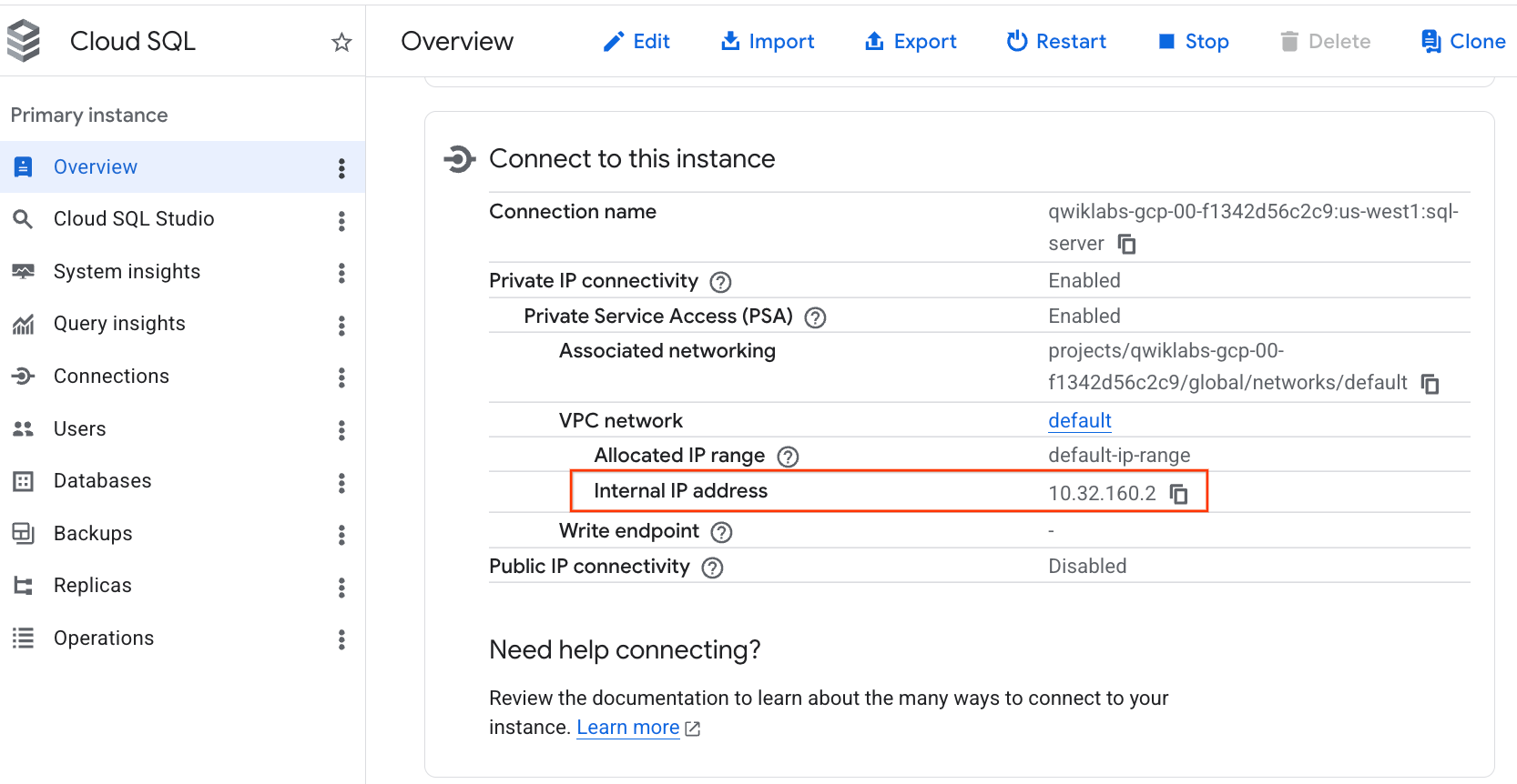 The Overview page, which includes the highlighted Private IP address 10.96.224.2.