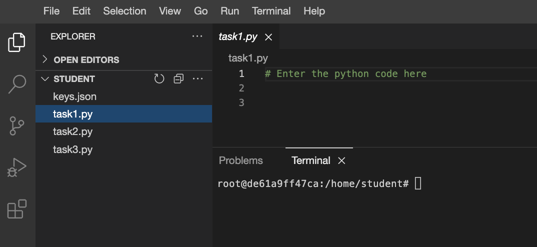 Practice Lab: Introduction to Python | Google Skills