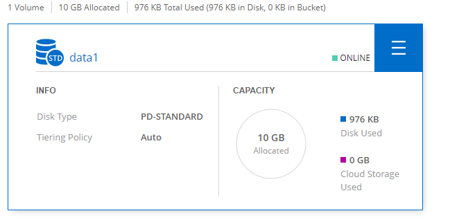 data1 volume