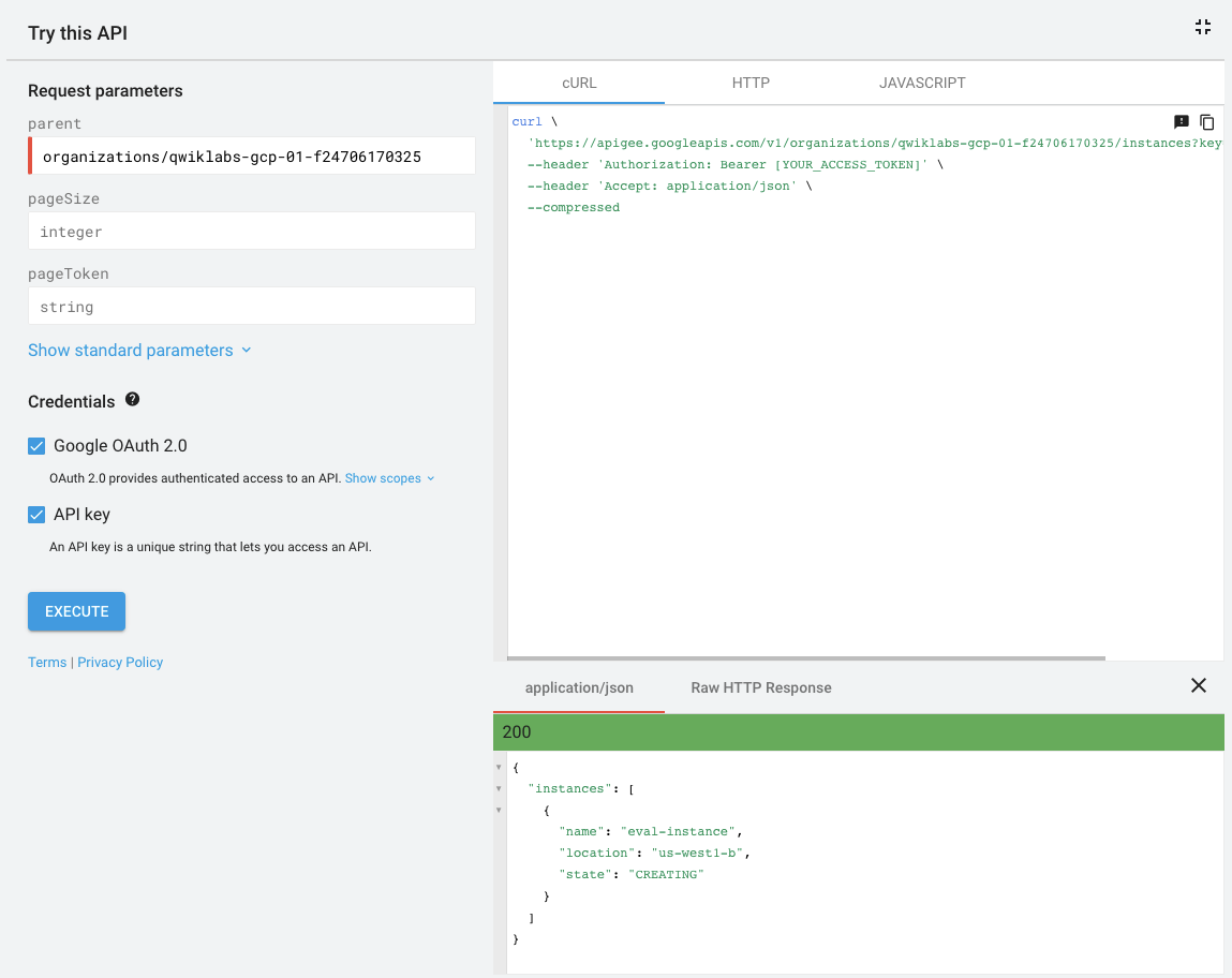 The Try this API pane displaying the HTTP request under the cURL section, and JavaScript under the application/json section